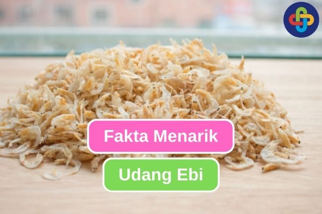 Ketahui 10 Fakta Menarik tentang Udang Ebi